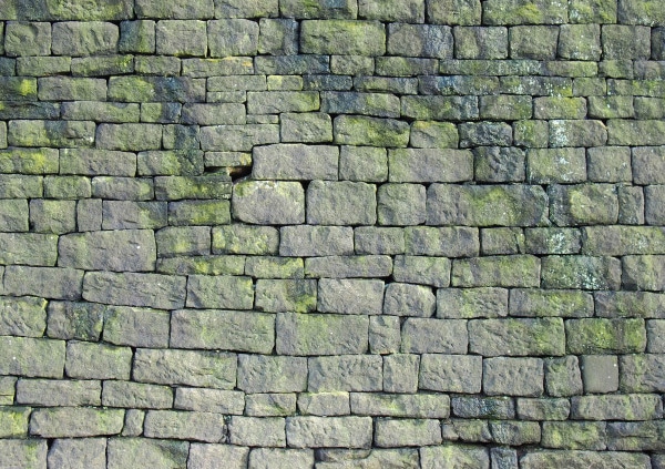 Conseils de démoussage d'un mur en pierre